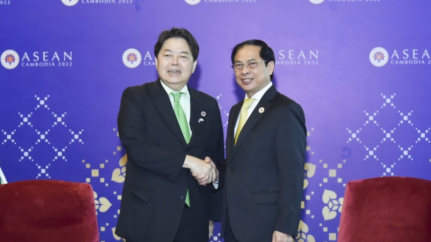 Vietnam, Japan expand relations across the board